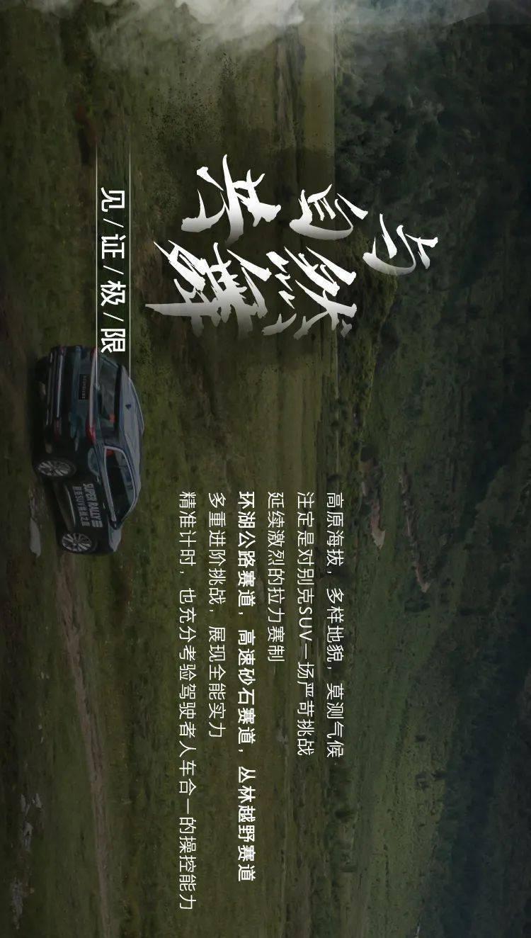 蓝色小球入袋选关版